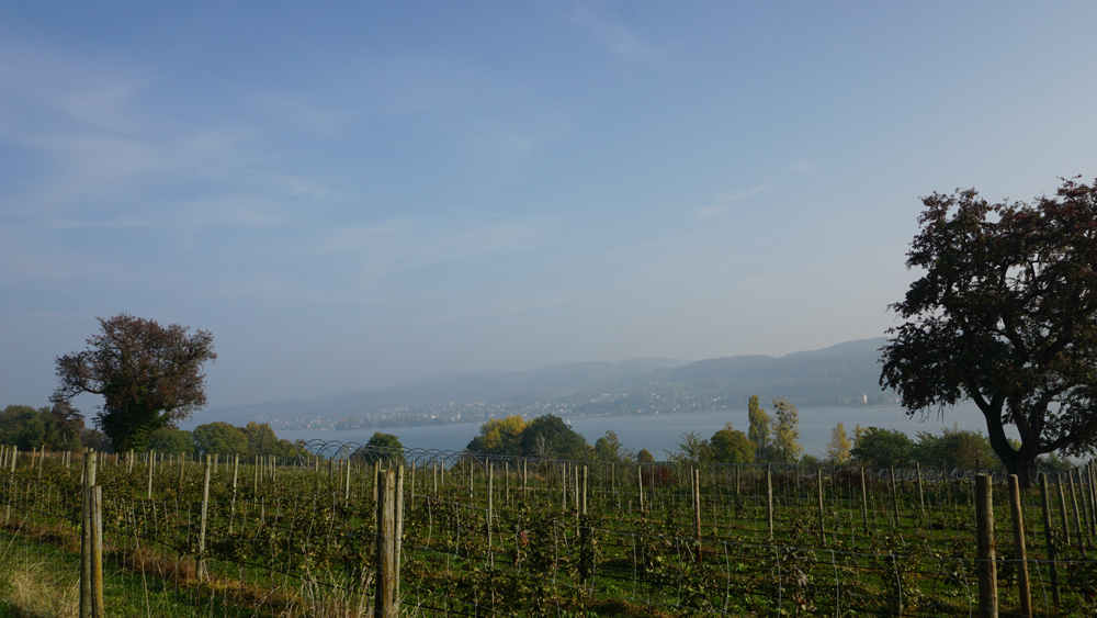 Veloanhänger Thule Chriot Corsaire - Mit Shopleiter Marco Kradolfer, Velo Winterthur in 8 Tagen um den Bodensee